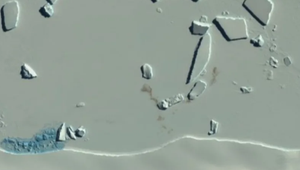 Ảnh vệ tinh tiết lộ về các 'thuộc địa' chưa từng được biết đến của chim cánh cụt