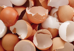 Tác dụng thần kỳ của vỏ trứng không phải ai cũng biết