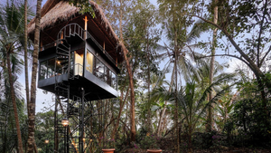 Khám phá khách sạn trên cây nằm giữa rừng Bali, Indonesia