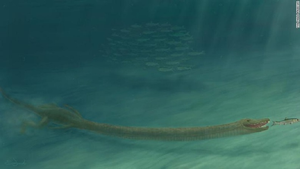 'Quái vật' thời tiền sử với phần cổ dài gấp 3 lần đuôi