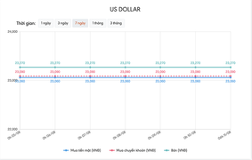 Tỷ giá USD hôm nay 11/8: Tăng nhẹ trước nhiều áp lực