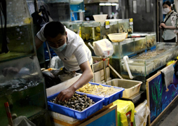 Trung Quốc phát hiện nCoV trên bao bì tôm nhập khẩu từ Ecuador