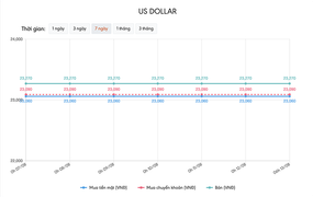 Tỷ giá USD hôm nay 13/8: Lại quay đầu đi xuống