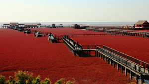 Ngắm thiên đường biển đỏ ở Trung Quốc