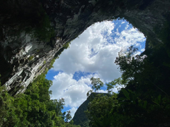 Độc đáo Sơn Đoòng