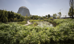 'Thành phố bọt biển' - cách ngăn lũ lụt mới của Trung Quốc