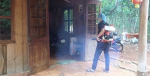 Bình Phước có gần 700 ca mắc và 2 ca tử vong do sốt xuất huyết