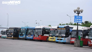 Ngành vận tải ‘chết lâm sàng’, doanh nghiệp dừng đăng kiểm xe để tiết kiệm tiền