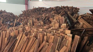 Bắt giữ 60 container nghi gỗ giáng hương Tây Phi nhập lậu vào TP.HCM