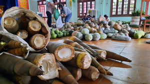 Rau lủi, măng rừng của đồng bào Ca Dong xuôi xuống vùng tâm dịch