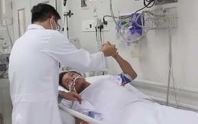 'Phép màu' nào cứu người đàn ông ở Tây Ninh bị hổ mang chúa cắn?