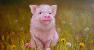 Tử vi 12 con giáp ngày 26/8: Tuổi Hợi tài chính eo hẹp