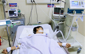 Thiếu niên bị rắn độc cắn liệt cơ hô hấp