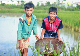 Ảnh: Mùa hè thay mẹ bắt cá, bán rau, chăm em của trẻ nghèo vùng cao