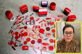 Bắt nữ giáo viên nghỉ hưu làm giả con dấu, tài liệu