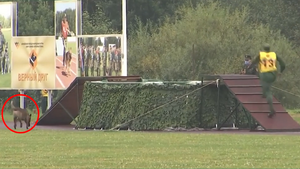 Chó nghiệp vụ Việt Nam 'chạy tắt' qua bể nước lạnh tại Army Games 2020 