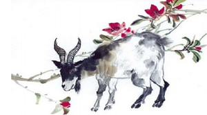 Tử vi 12 con giáp ngày 27/8: Tuổi Mùi được quý nhân giúp đỡ