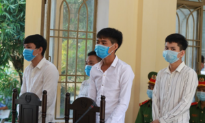 Trộm 37 cây vàng, 4 thanh niên chia nhau 31 năm tù