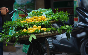 Ảnh: Những món quà thu Hà Nội khiến lòng người rưng rưng