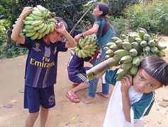 Đồng bào Ca Dong vào rừng sâu hái từng búp măng, bó rau gửi xuống vùng tâm dịch