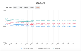 Tỷ giá USD hôm nay 31/8: Đà giảm ngày càng rõ nét