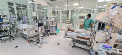 Cứu sống bé gái 13 tuổi ngộ độc thuốc diệt cỏ