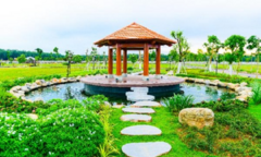 Tâm an mùa Vu Lan, trọn nghĩa đạo hiếu