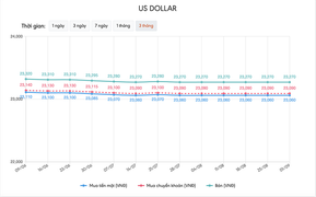 Tỷ giá USD hôm nay 1/9: Tờ tiền xanh chịu nhiều sức ép