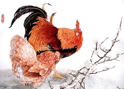 Tử vi 12 con giáp ngày 4/9: Tuổi Dậu sức khỏe sa sút