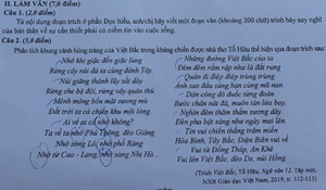 Đề Văn thi tốt nghiệp THPT 2020 đợt 2