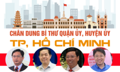 Infographic: Chân dung 12 tân Bí thư Quận ủy, Huyện ủy ở TP.HCM