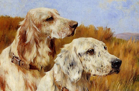 Tử vi 12 con giáp ngày 6/9: Tuổi Tuất thu nhập tăng cao