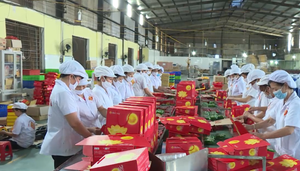 Cục An toàn thực phẩm đề nghị tăng cường bảo đảm an toàn thực phẩm dịp Trung thu