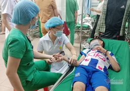 Nhiều học sinh Nghệ An bị ong đốt phải nhập viện cấp cứu