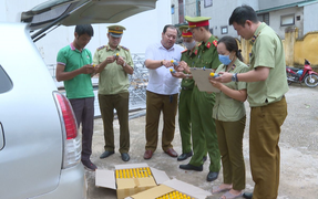 Thanh Hóa: Bắt giữ hơn 5.000 lọ thuốc bảo vệ thực vật không rõ nguồn gốc