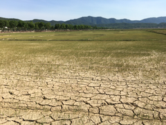 Bao giờ sửa quy định thuế GTGT về phân bón?