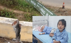 Cổng trường đè chết học sinh: Chủ tịch huyện nói 'không cốt thép là bình thường'
