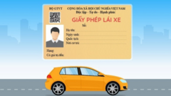 Trừ điểm bằng lái để quản lý chặt tài xế hơn