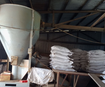 Bắt kho nguyên liệu thuỷ sản không rõ nguồn gốc ở An Giang