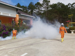 Học sinh lớp 12 ở Lâm Đồng dương tính với bạch hầu