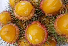 Trái cây rừng xuống phố 'cháy hàng'