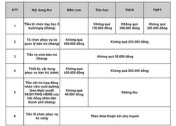 Chi tiết các mức thu đầu năm học ở TP.HCM