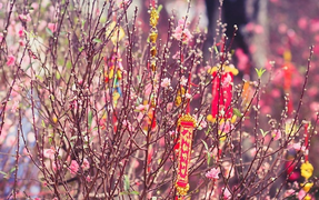 Bộ Lao động - Thương binh và Xã hội công bố lịch nghỉ Tết, nghỉ lễ năm 2021