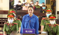 'Hotgirl' miền Tây vận chuyển hơn 4kg ma túy lĩnh án chung thân