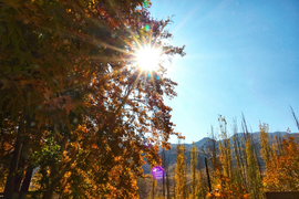 Clip: Iran đẹp ngất ngây trong mùa thay lá