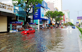  Bão số 5 đổ bộ, nhiều tuyến đường Đà Nẵng thành sông, cây ngã rạp