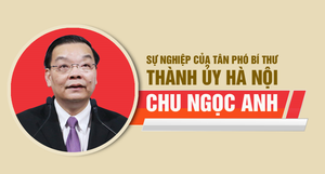 Infographic: Sự nghiệp tân Phó Bí thư Thành ủy Hà Nội Chu Ngọc Anh