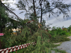 Bão số 5 quét qua Huế: Quật cây xanh bật gốc nằm la liệt, cuốn phăng mái nhà dân