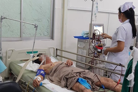 Ăn bao tử cá mặt thỏ, người đàn ông bị liệt tứ chi 