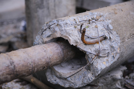 Vì sao bão không lớn nhưng hơn 400 cột điện ở Huế bị gãy đổ?